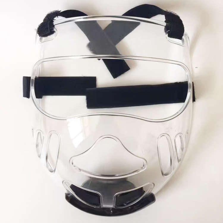 TKD Kwon Face Shield